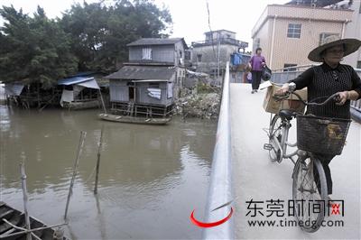 麻涌漳澎村的一条河,里面不时会有垃圾漂过,河水也是黑色的 东莞时报