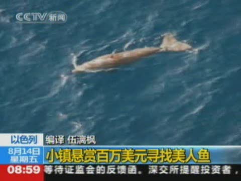 以色列美人鱼震惊全球 真实版“海的女儿”？/图(1)_科学探索_光明网