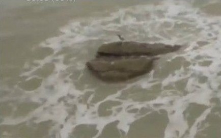 以色列美人鱼震惊全球 真实版“海的女儿”？/图(1)_科学探索_光明网