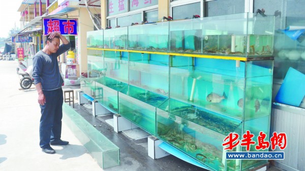 六号海鲜店_海鲜馆店招_海鲜烧烤图片大全(4)