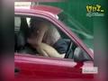 交通事故:酒驾还车震 女子赤裸弹出车外!