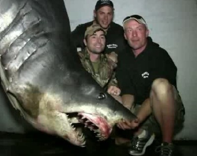 美国男子加州外海钓 获约600公斤巨型鲨鱼(图)