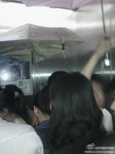 电梯轿厢内“漏雨”，乘客被迫打伞室内遮挡。 网友“00落叶秋枫”供图