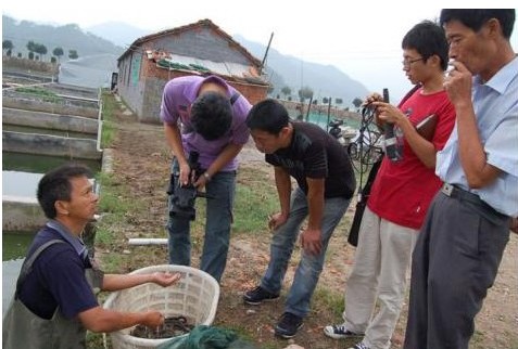 泥鳅养殖技术视频及成本利润,农民家庭养泥鳅