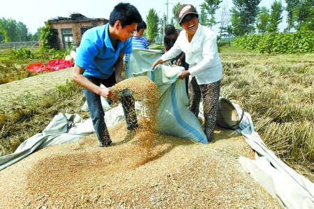 淇县城关镇东街村的蒲防振一家正在将刚打下来的麦子装袋,今年又是个