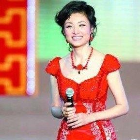 董卿柴静刘芳菲周涛 央视女主播选拔标准大揭秘