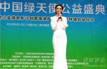 刘雨欣出席绿色公益活动 发出环保呼吁