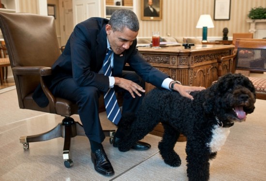 美国历届总统与第一宠物(组图)