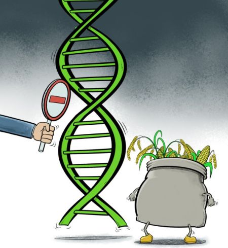 转基因方崔之争（五）：为什么吃老鼠药没有危害
