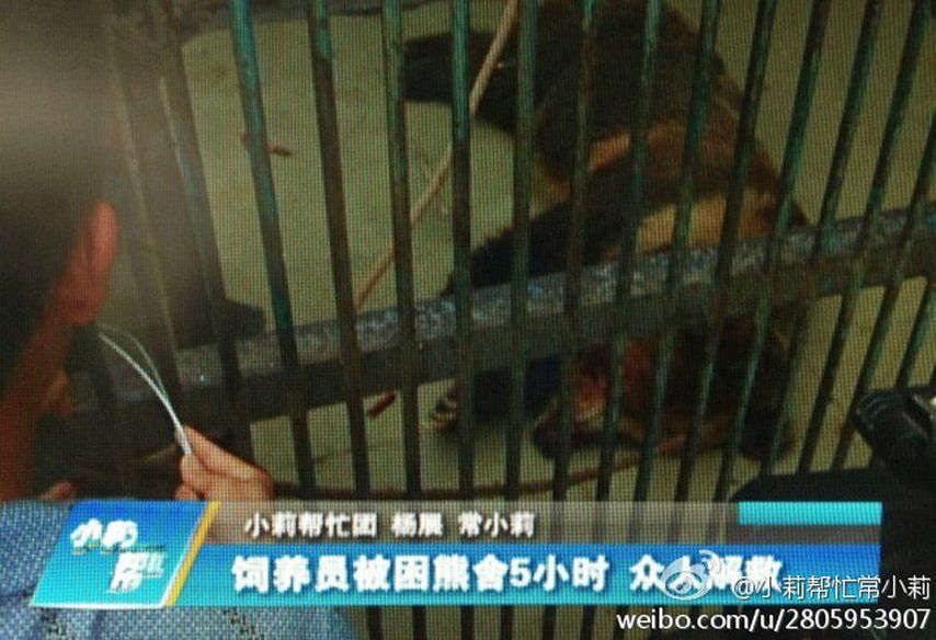 河南动物园棕熊冲出铁笼咬死饲养员(组图)