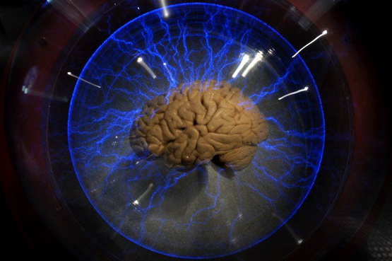科学家打造出史上最精密人脑3D数字模型\/图