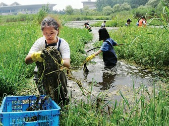 清除杂物保护湿地(图)