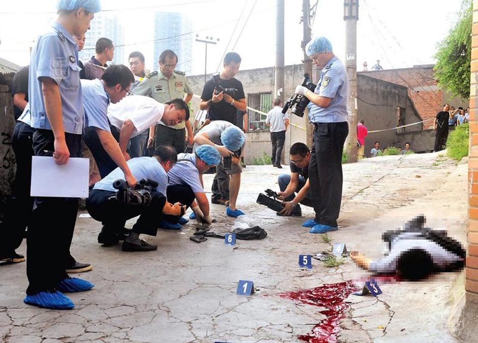 尹国驹和叶继欢,_点力图库