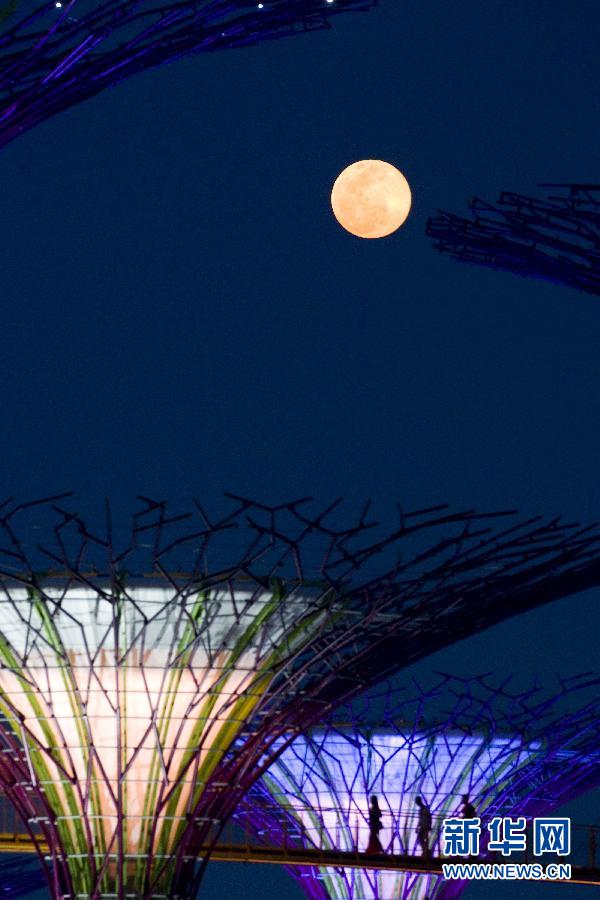 新加坡守得云开见月明(高清组图)