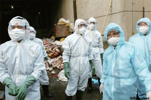 2003年,广州,防疫人员正在处理一吨多重的冰冻