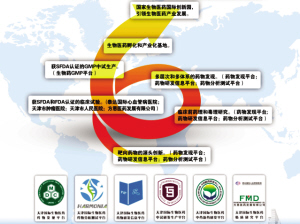 创新驱动引领天津生物医药产业跨越发展(图)-瑞