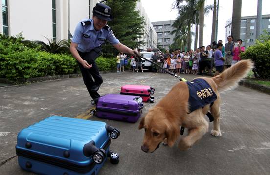 图为:拱北海关缉毒犬车辆搜毒引来澳门人大代表的赞赏 张建林/摄