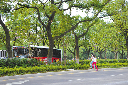 望京路二院车站旁能否设斑马线?交警:不合适(图)