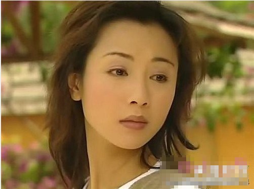 袁洁莹李珊珊傅明宪 消失的TVB女郎今何在图