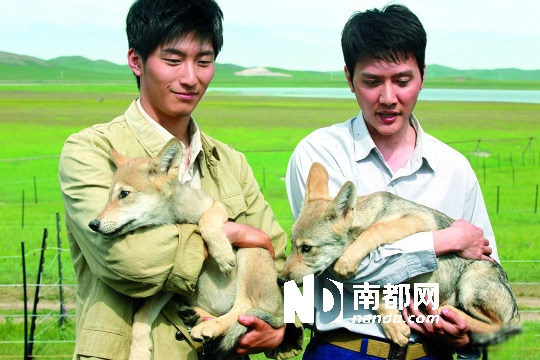 冯绍峰,窦骁等主演的中法合拍片《狼图腾》于6月28日在内蒙古乌拉盖