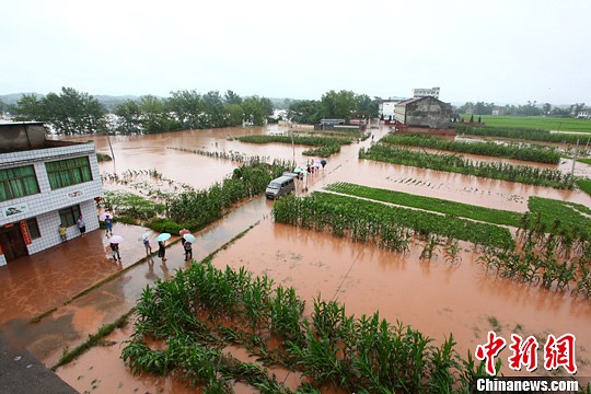 7月1日，四川遂宁市洪水过处一片汪洋。中新社发 蒲丰 摄
