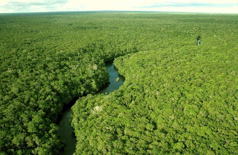 震撼人心的“地球之肺”:亚马孙热带雨林(组图)(1)_科学探索_光明网