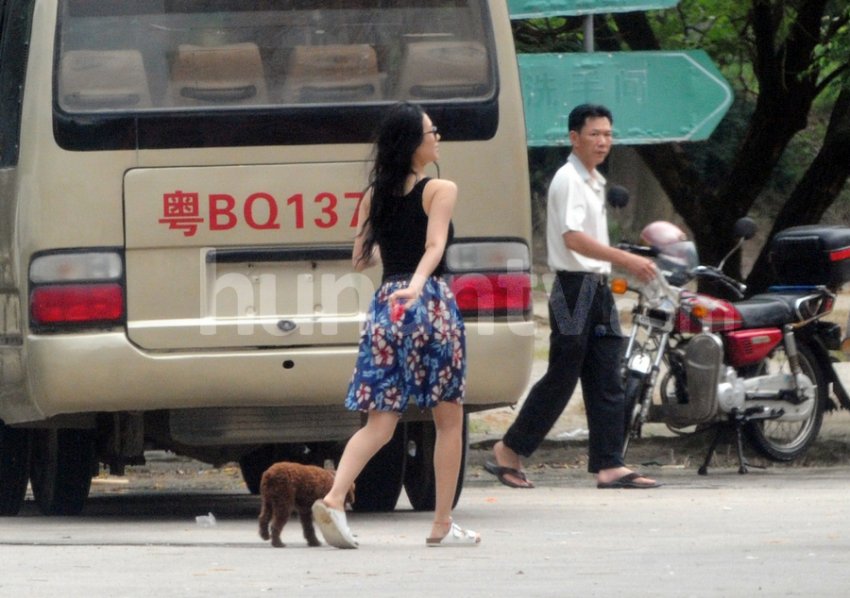 章子怡撒贝宁分手被传 章母嫌弃棒打鸳鸯(组图