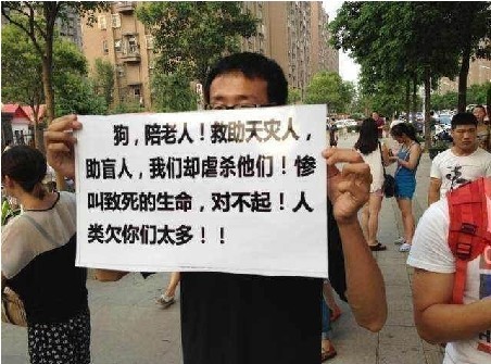 砍狗事件:引发徐州动物保护协会及众多市民现场公愤。