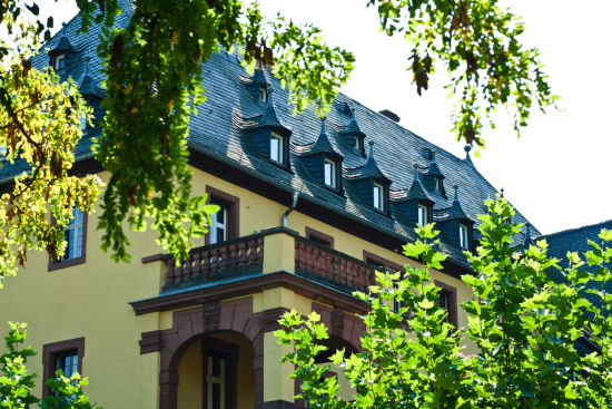 4# Schloss VollradsʼڹԪ1211