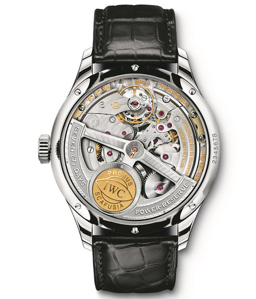 IWCͺţ5032