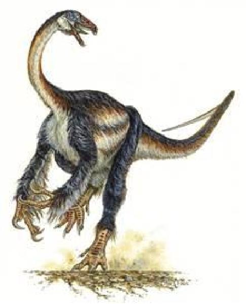相关的考古资料显示玛君龙时常以风化的"恐龙干尸"为食,他们的猎食