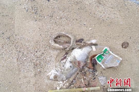 图为游客在布满垃圾的惠州大亚湾区霞涌海域的海滩上游玩。　严初　摄