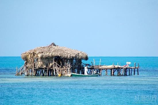 ϾưɣPelican BarӣNegril