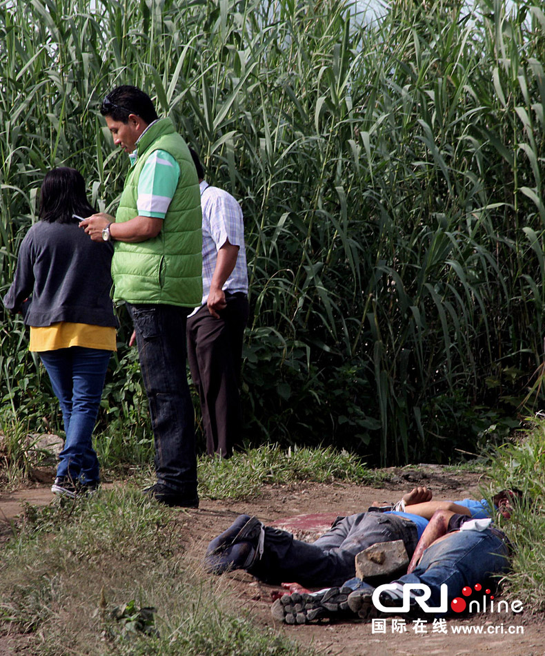 墨西哥发现遇害摄影记者尸体(高清组图)