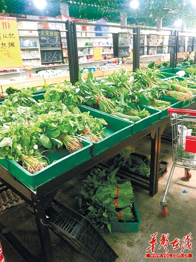 长沙市金霞苑生鲜市场内,蔬菜整齐地码放在货架上.记者 范远志 摄
