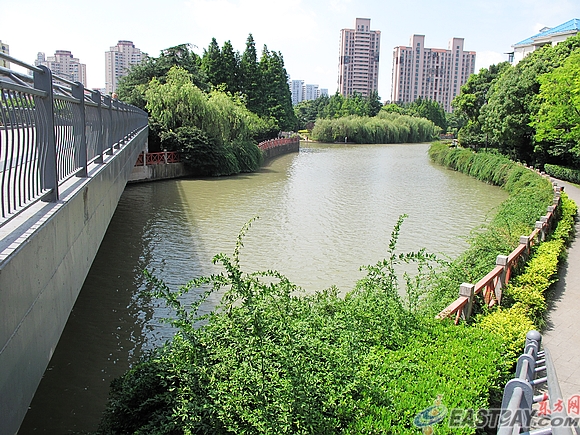 张家浜是位于浦东新区的一条小河,和许多河道一样,它今天已经成为一条