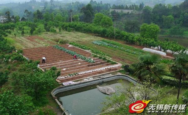 家庭农场叫好不叫座 实惠看不到 3个月仅注册33家(1)