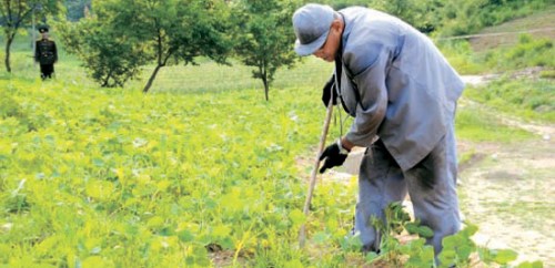 鏃犳硶閫冮伩鐨勭棝鍘熸_铡刀铡人头图(2)