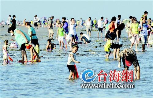 超级月亮登场海水退潮 厦门市民争相挖花蛤(图