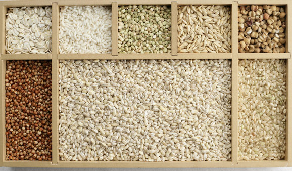 粮谷类食物中还含有调节生理功能所必需族维生素和无机盐等.