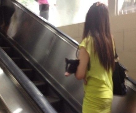公车上的不雅门:闹肚子女乘客公车上大便