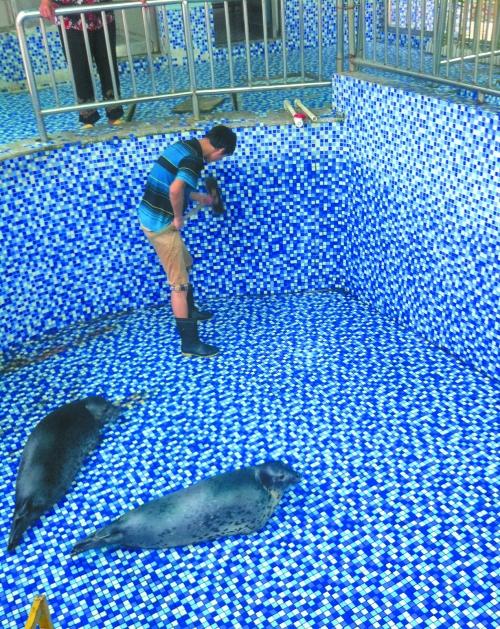郑州市动物园海洋馆昨天上午开始清理场馆