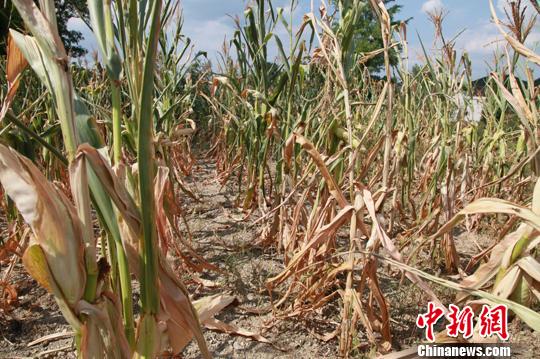 贵州大部地区干旱将加剧 200万人饮水困难(图)