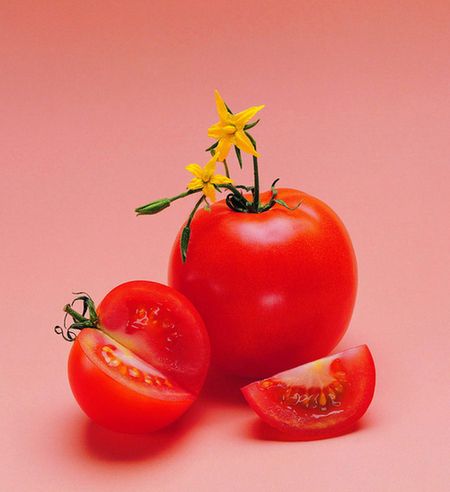 美女养生:西红柿减肥食谱款款吃着瘦(组图)