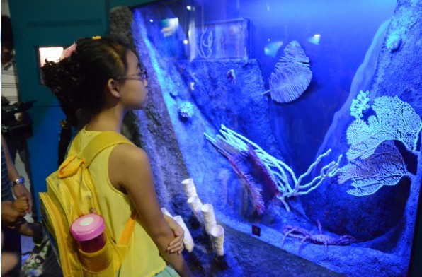 8米长的大王酸浆鱿的实物模型引观众驻足。孙