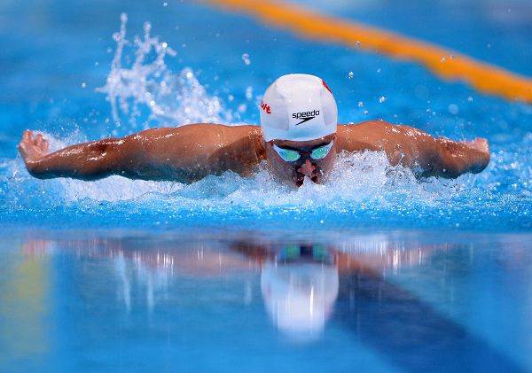 7月31由来v由来世锦赛男子200米蝶泳斗鸡花鸡怎样日晚图片