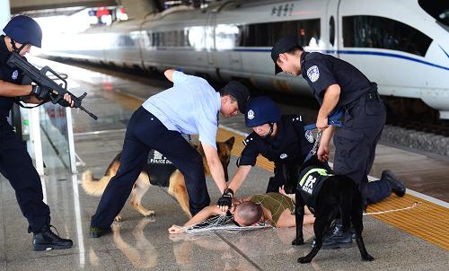 逮捕经过是什么 关于逮捕经过的详细介绍