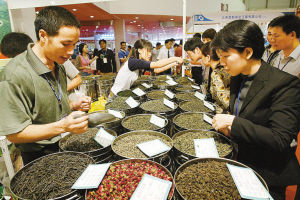 市场上怎样购买绿茶,具体的绿茶有那些