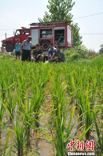 稻田里泥土干旱开裂，缺水现象比较严重。卫星遥感监测表明，江西省农业干旱面积已达616万亩，41个市县达到气象干旱等级中度以上。　汪和锋　摄