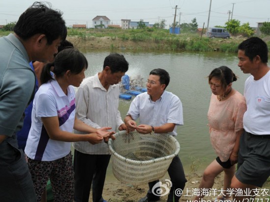 7月28日,上海海洋大学"渔业科技支农"服务团赴如东县长沙镇富盐村进行